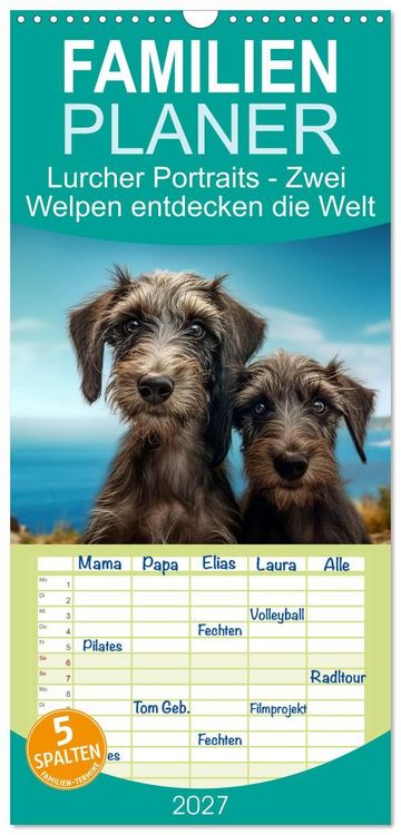 Produktbild: Familienplaner 2027 - Lurcher Portraits - Zwei Welpen entdecken die Welt mit 5 Spalten (Wandkalender, 21 x 45 cm) CALVENDO