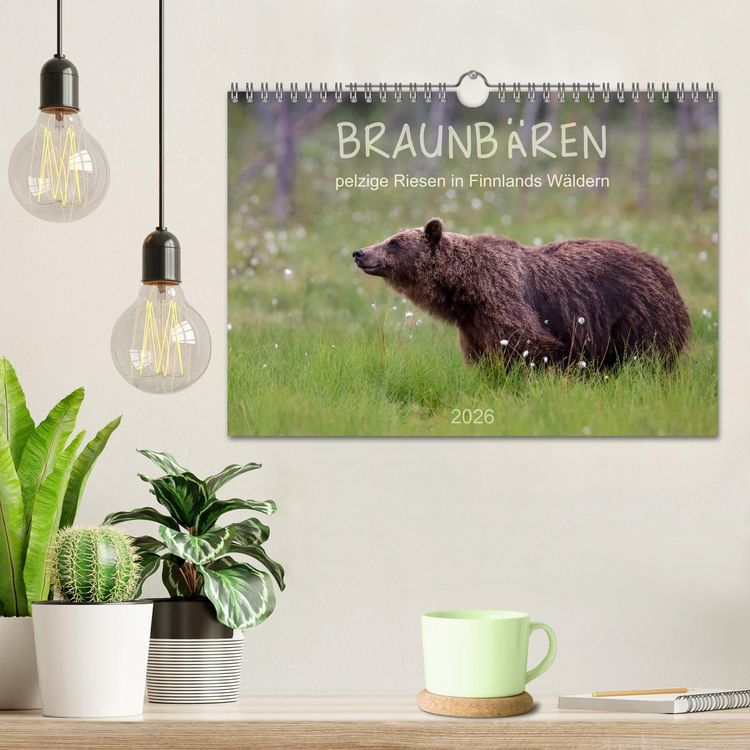 Produktbild: Braunb&auml;ren - pelzige Riesen in Finnlands W&auml;ldern (Wandkalender 2026 DIN A4 quer), CALVENDO Monatskalender