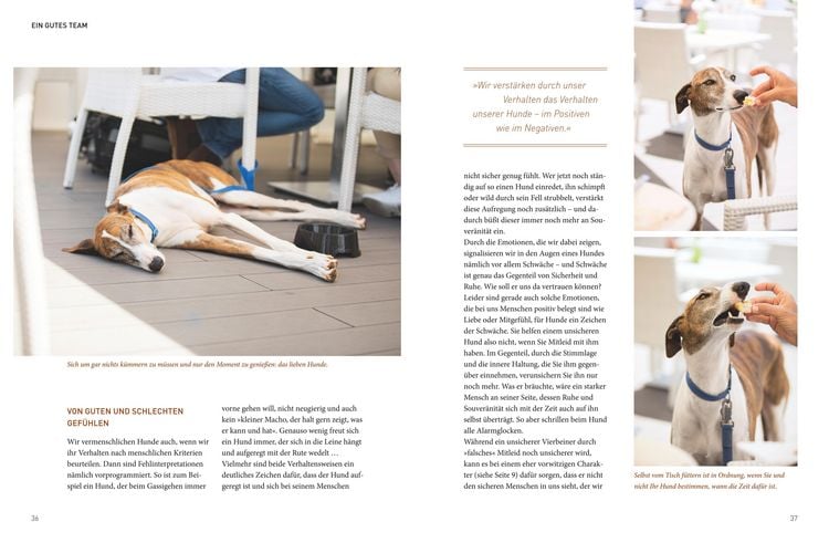 Produktbild: Die Jos&eacute;-Arce-Methode: Liebe Deinen Hund. Wie Sie beim Gassigehen die Beziehung st&auml;rken
