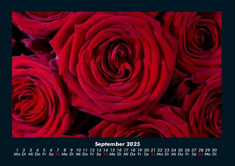 Produktbild: Rosentraum 2025 Fotokalender DIN A4