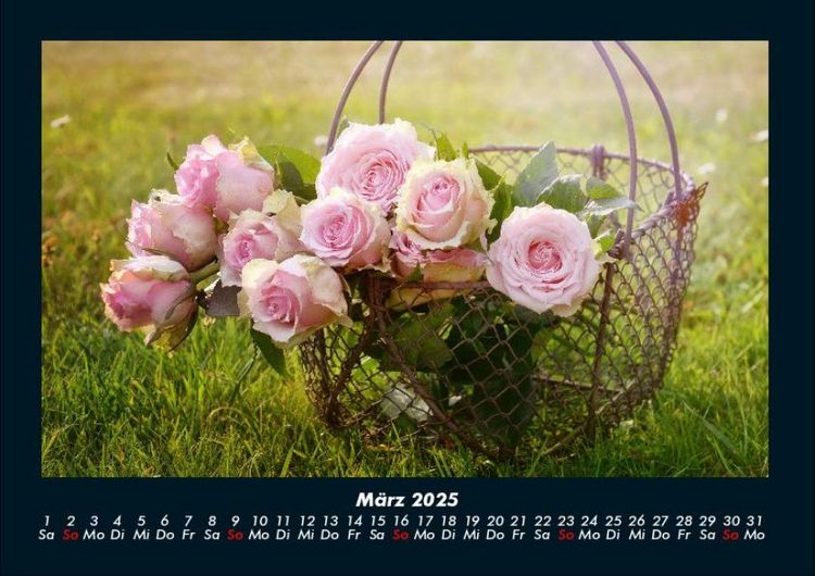 Produktbild: Rosen-Kalender 2025 Fotokalender DIN A4