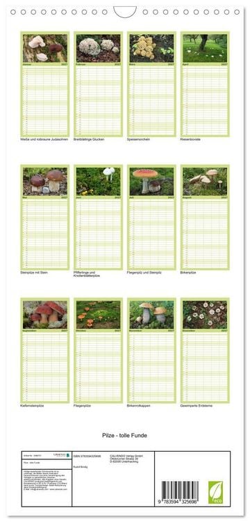 Produktbild: Familienplaner 2027 - Pilze - tolle Funde mit 5 Spalten (Wandkalender, 21 x 45 cm) CALVENDO