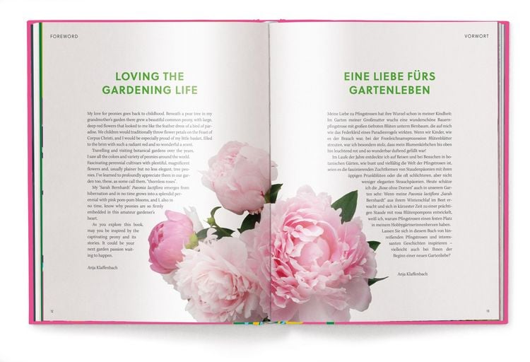 Produktbild: Floramour: Pfingstrosen