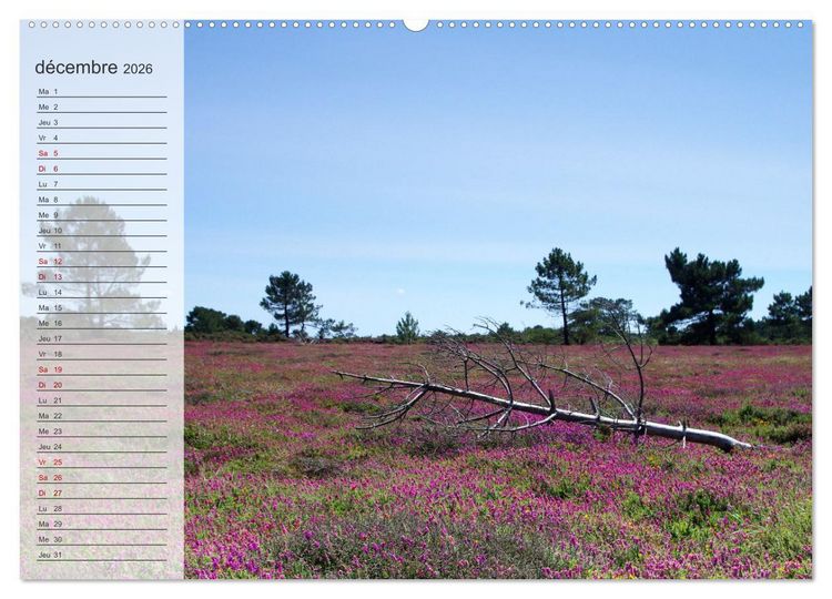 Produktbild: Bretagne La presqu'&icirc;le de Crozon (Calendrier mural 2026 DIN A2 vertical), CALVENDO calendrier mensuel