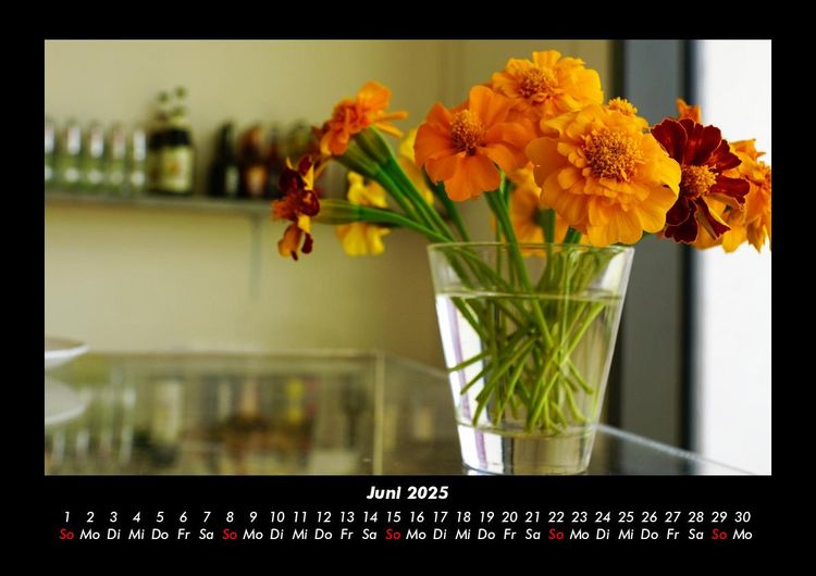 Produktbild: Blumentr&auml;ume 2025 Fotokalender DIN A3