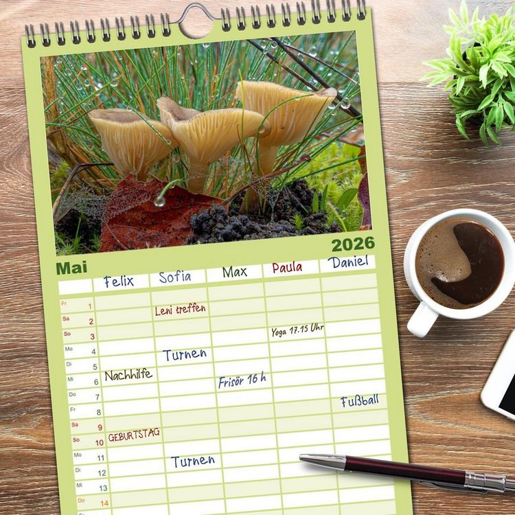 Produktbild: Familienplaner 2026 - Pilze in den Herbstw&auml;ldern mit 5 Spalten (Wandkalender, 21 x 45 cm) CALVENDO