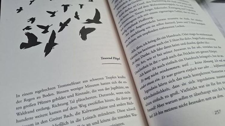 Produktbild: Krähennacht