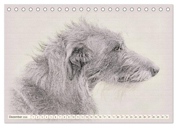 Produktbild: Windhunde 2026 (Tischkalender 2026 DIN A5 quer), CALVENDO Monatskalender