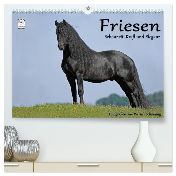Produktbild: Friesen - Sch&ouml;nheit, Kraft und Eleganz (hochwertiger Premium Wandkalender 2026 DIN A2 quer), Kunstdruck in Hochglanz