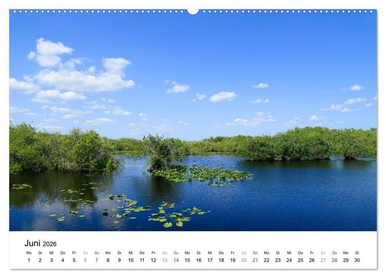 Produktbild: Unter der Sonne Floridas (Wandkalender 2026 DIN A2 quer), CALVENDO Monatskalender