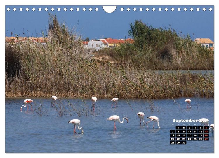 Produktbild: Costa Blanca - Sonne, Strand und mehr (Wandkalender 2026 DIN A4 quer), CALVENDO Monatskalender