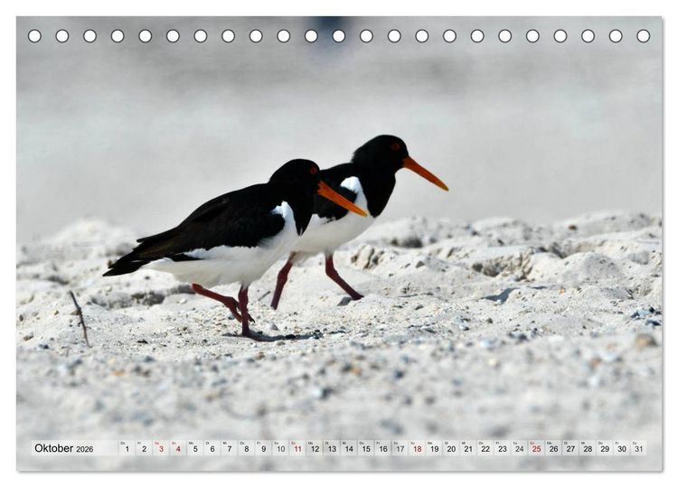 Produktbild: Sch&ouml;ne Insel Helgoland (Tischkalender 2026 DIN A5 quer), CALVENDO Monatskalender