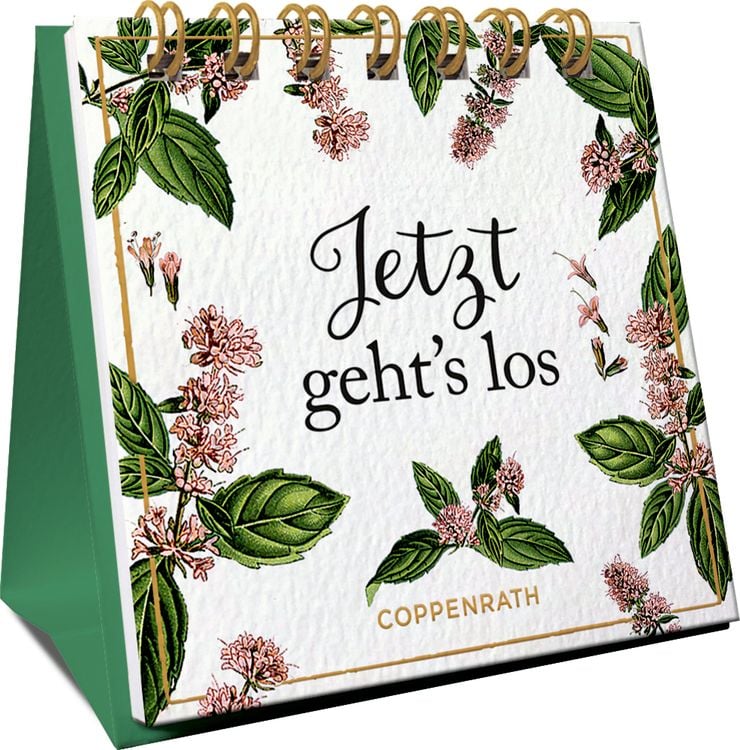 Bild vom Artikel Mini-Spiralaufsteller: Jetzt geht's los (AUGUSTINA) vom Autor 