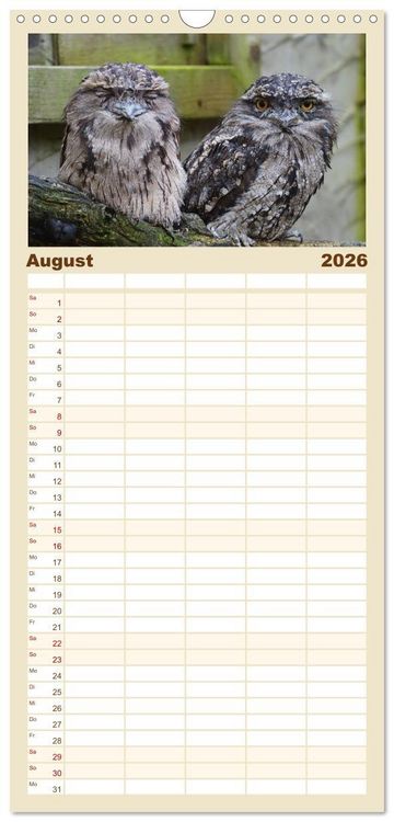 Produktbild: Familienplaner 2026 - Eulen. Gefiederte Weisheit mit 5 Spalten (Wandkalender, 21 x 45 cm) CALVENDO