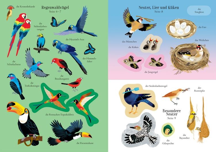 Produktbild: Mein Immer-wieder-Stickerbuch: V&ouml;gel