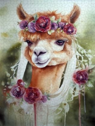 Produktbild: CALVENDO Puzzle Alpaka-Braut | 1000 Teile Lege-Gr&ouml;&szlig;e 64x48cm Foto-Puzzle f&uuml;r gl&uuml;ckliche Stunden