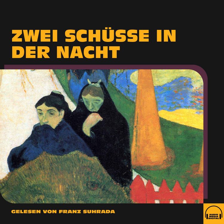 Produktbild: Zwei Sch&uuml;sse in der Nacht