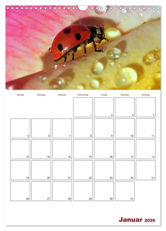 Produktbild: Marienk&auml;fergl&uuml;ck (Wandkalender 2026 DIN A3 hoch), CALVENDO Monatskalender