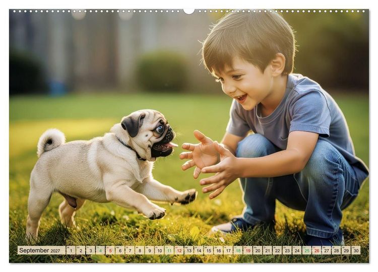 Produktbild: Der kleine Mops-Kalender (Wandkalender 2027 DIN A2 quer), CALVENDO Monatskalender