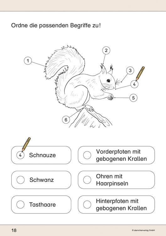 Produktbild: Ich kenne das Eichh&ouml;rnchen