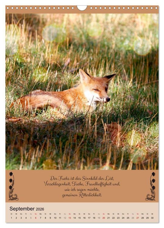 Produktbild: Buntes Tierleben (Wandkalender 2026 DIN A3 hoch), CALVENDO Monatskalender