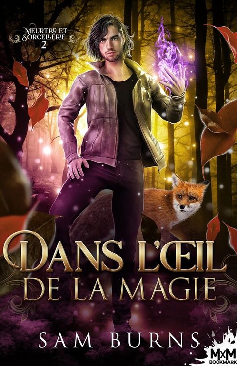 Produktbild: Dans l'oeil de la magie
