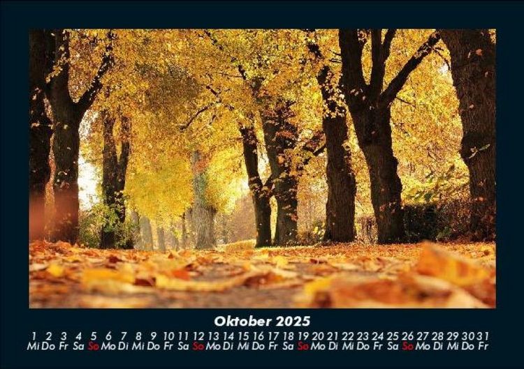 Produktbild: B&auml;ume 2025 Fotokalender DIN A5