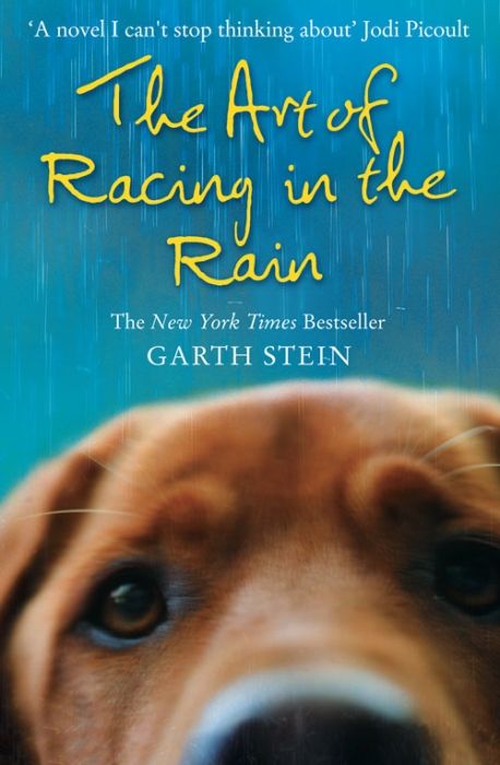 Produktbild: The Art of Racing in the Rain