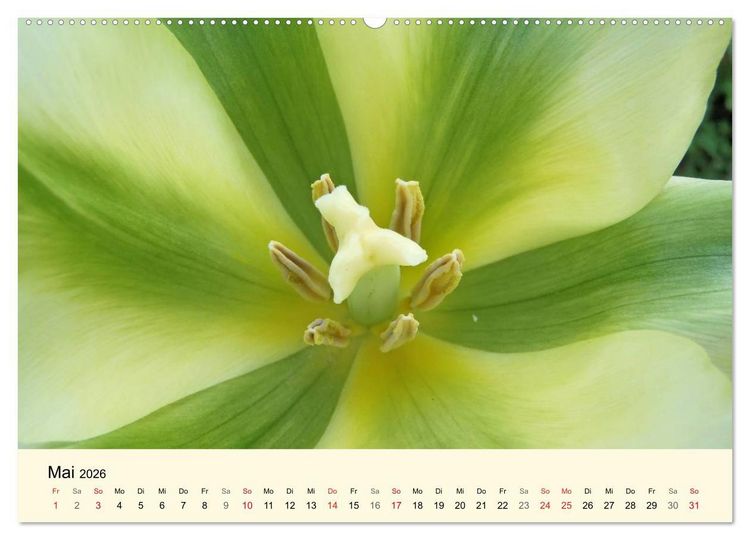Produktbild: Kraftquelle Gr&uuml;n (Wandkalender 2026 DIN A2 quer), CALVENDO Monatskalender