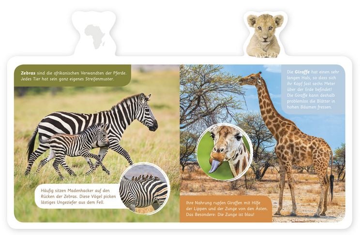 Produktbild: Tiere in Afrika