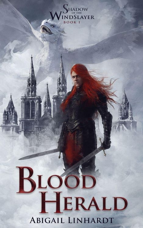 Produktbild: Shadow of the WindSlayer Book I
