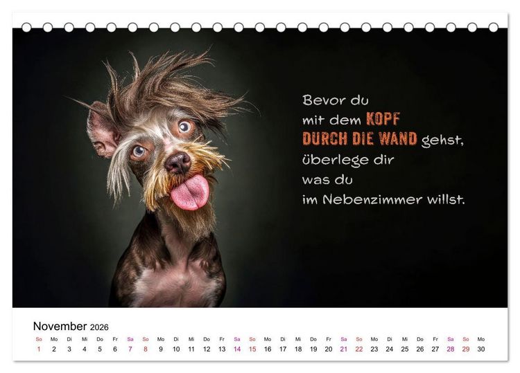 Produktbild: Tierische Klugschei&szlig;er (Tischkalender 2026 DIN A5 quer), CALVENDO Monatskalender
