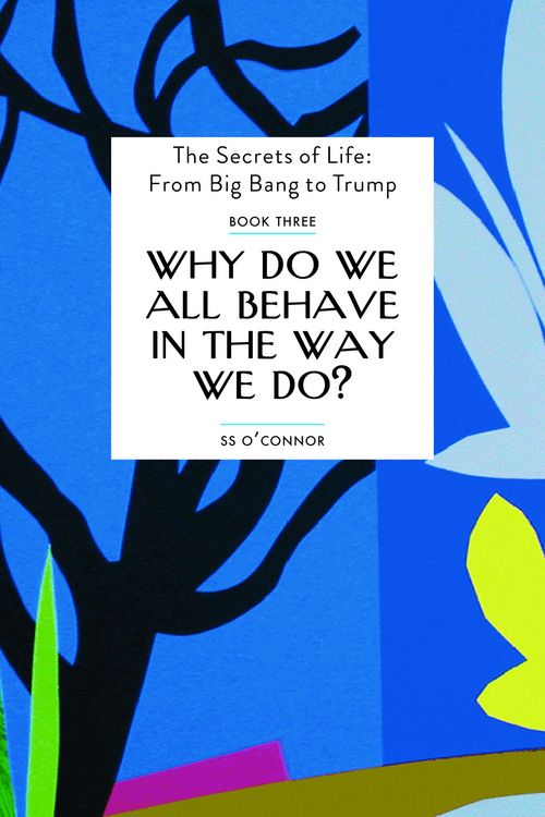 Produktbild: Why Do We All Behave In The Way We Do?
