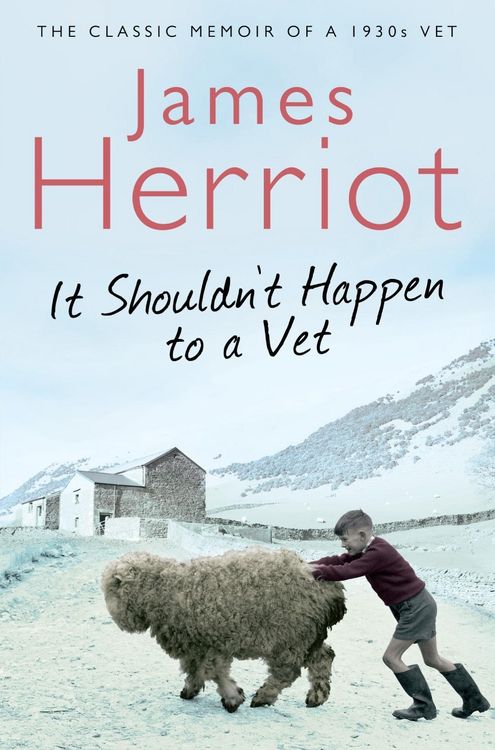 Produktbild: It Shouldn't Happen to a Vet
