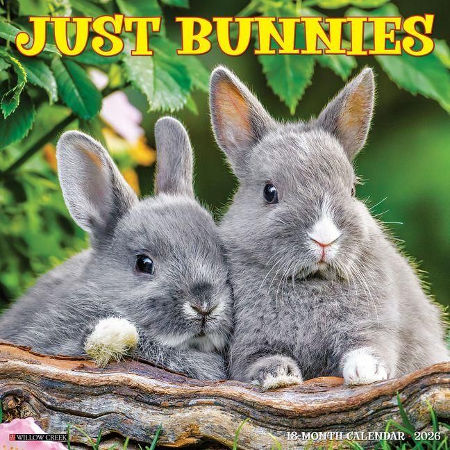 Produktbild: Bunnies 2026 Wall Calendar
