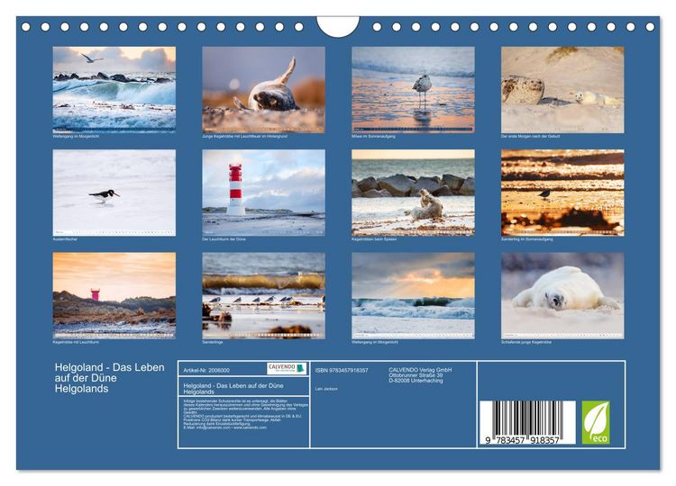 Produktbild: Helgoland - Das Leben auf der D&uuml;ne Helgolands (Wandkalender 2026 DIN A4 quer), CALVENDO Monatskalender