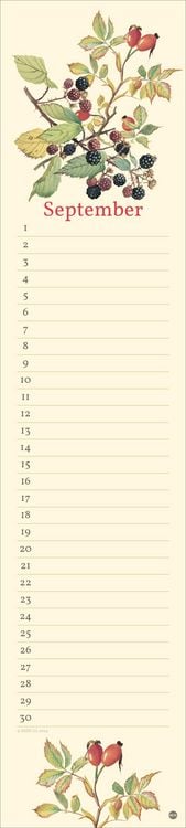 Produktbild: Edith Holden: Geburtstagskalender Langplaner