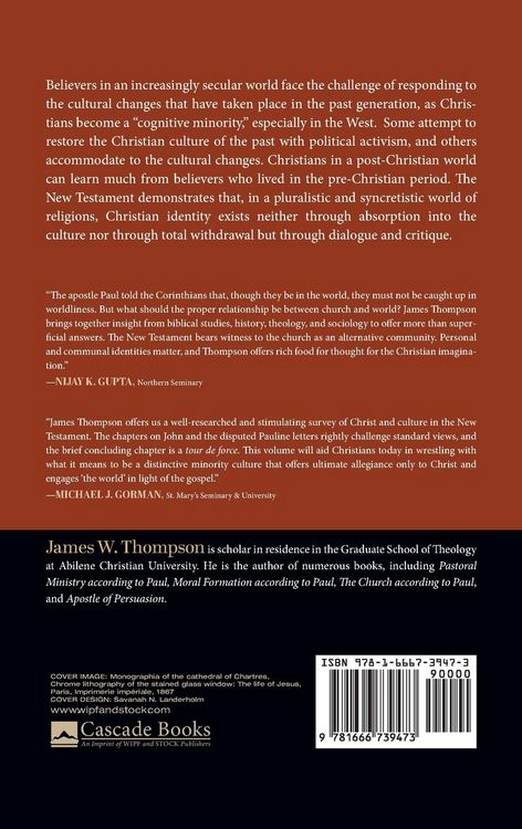 Produktbild: Christ and Culture in the New Testament
