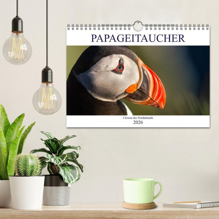Produktbild: Papageitaucher: Clowns des Nordatlantik (Wandkalender 2026 DIN A4 quer), CALVENDO Monatskalender