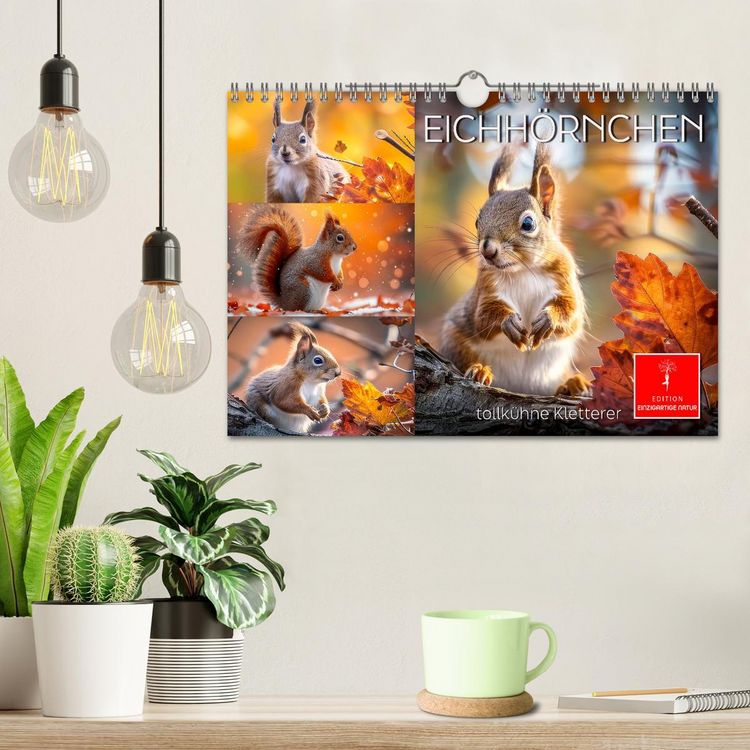 Produktbild: Eichh&ouml;rnchen - tollk&uuml;hne Kletterer (Wandkalender 2026 DIN A4 quer), CALVENDO Monatskalender