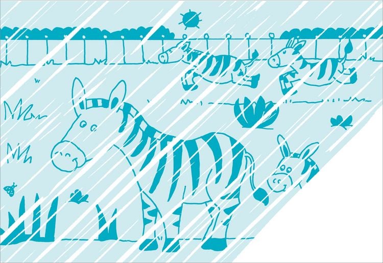 Produktbild: Zaubermalbuch. Zoo
