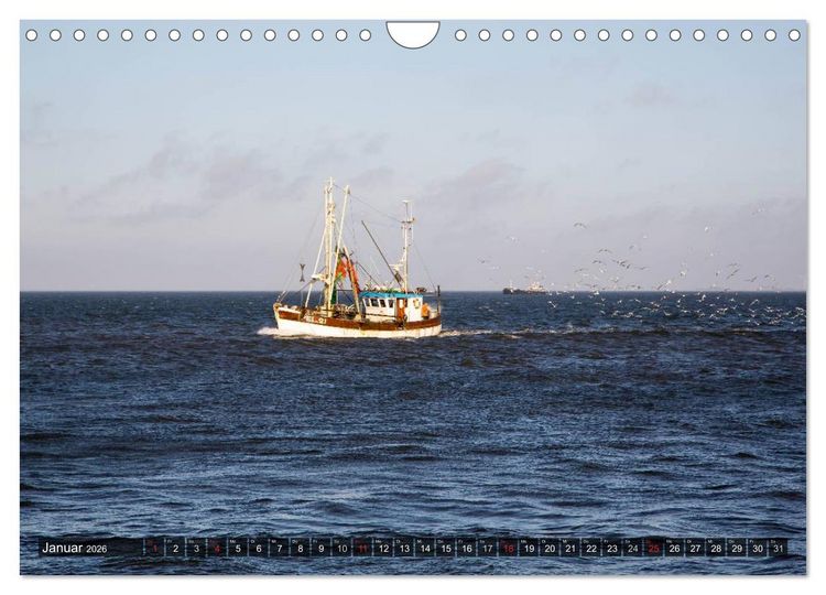 Produktbild: Pellworm 2026 (Wandkalender 2026 DIN A4 quer), CALVENDO Monatskalender