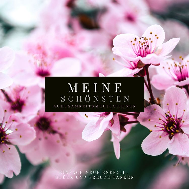 Produktbild: Meine sch&ouml;nsten Achtsamkeitsmeditationen (Premium-Bundle)