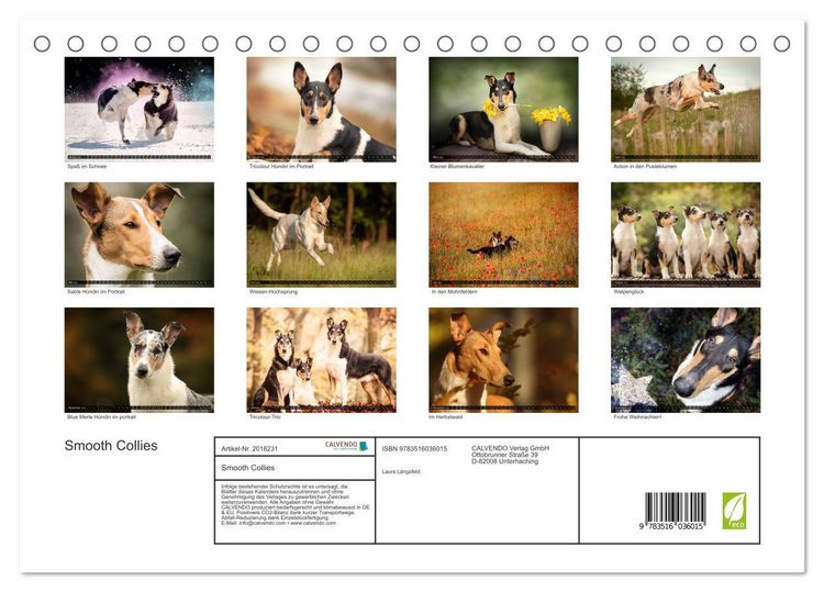 Produktbild: Smooth Collies (Tischkalender 2026 DIN A5 quer), CALVENDO Monatskalender