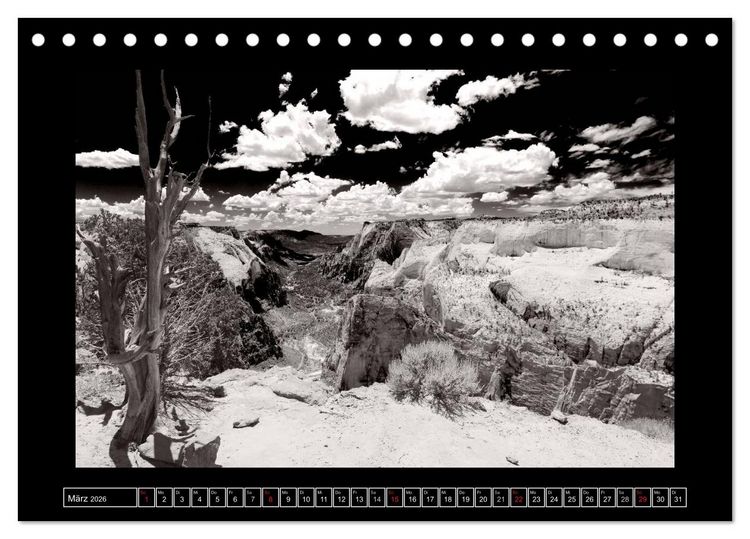 Produktbild: USA - 4000 Meilen S&uuml;dwest Hommage an die gro&szlig;en SW-Fotografen Amerikas (Tischkalender 2026 DIN A5 quer), CALVENDO Monatskalender