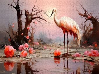 Produktbild: CALVENDO Puzzle Rosa Gefieder | 1000 Teile Lege-Gr&ouml;&szlig;e 64x48cm Foto-Puzzle f&uuml;r gl&uuml;ckliche Stunden