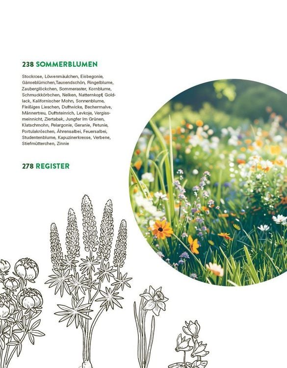 Produktbild: Das gro&szlig;e Buch der Stauden und Sommerblumen