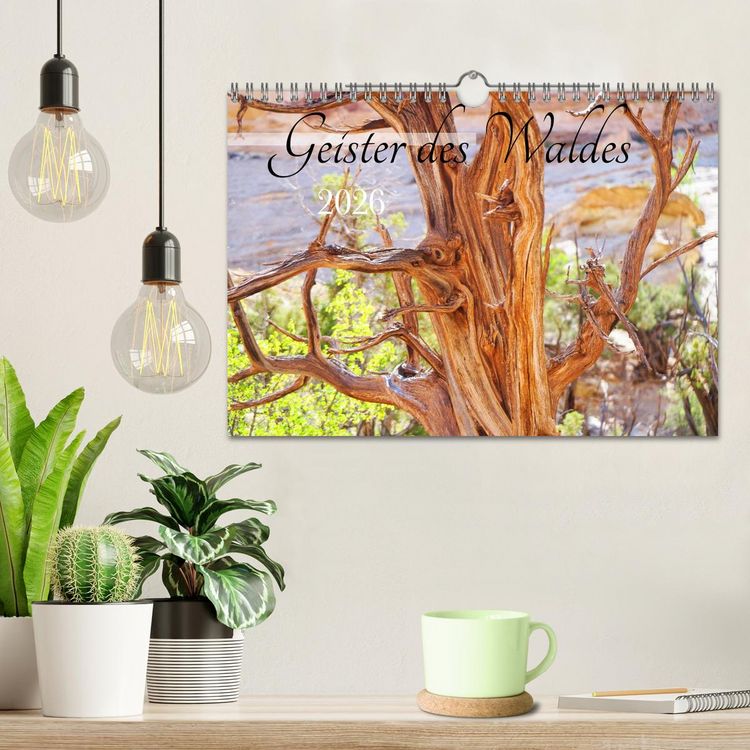 Produktbild: Geisterb&auml;ume (Wandkalender 2026 DIN A4 quer), CALVENDO Monatskalender
