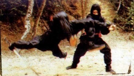 Produktbild: Asia Line Vol. 30: Die Vollstrecker der Ninja [Limited Edition]