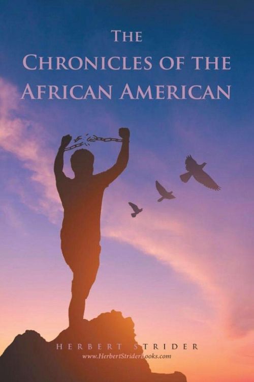 Produktbild: The Chronicles of the African American